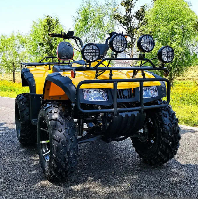 250cc Four-Wheel Drive ATV Quad ATV Farmer Quad Bike