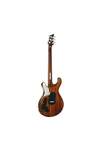 IYV 6 String Acoustic-Electric Guitar, Right, Tobacco Sunburst (IP-300-TSB)