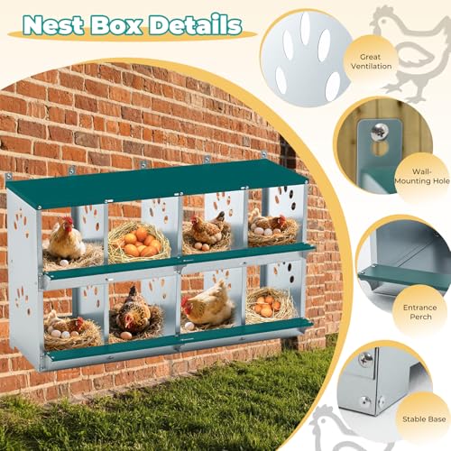 Chicken Coop Nesting Boxes, Wall Mountable Metal Chicken Nesting Box, Easy Egg Collection Roll Away Nesting Boxes Chicken