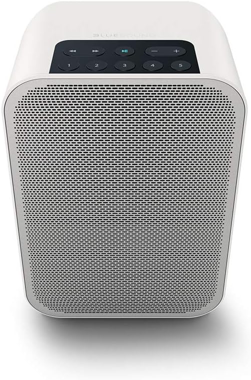 Bluesound Pulse Flex 2i Portable Wireless Multi-Room Smart Speaker with Bluetooth - Black - Compatible with Alexa and Siri