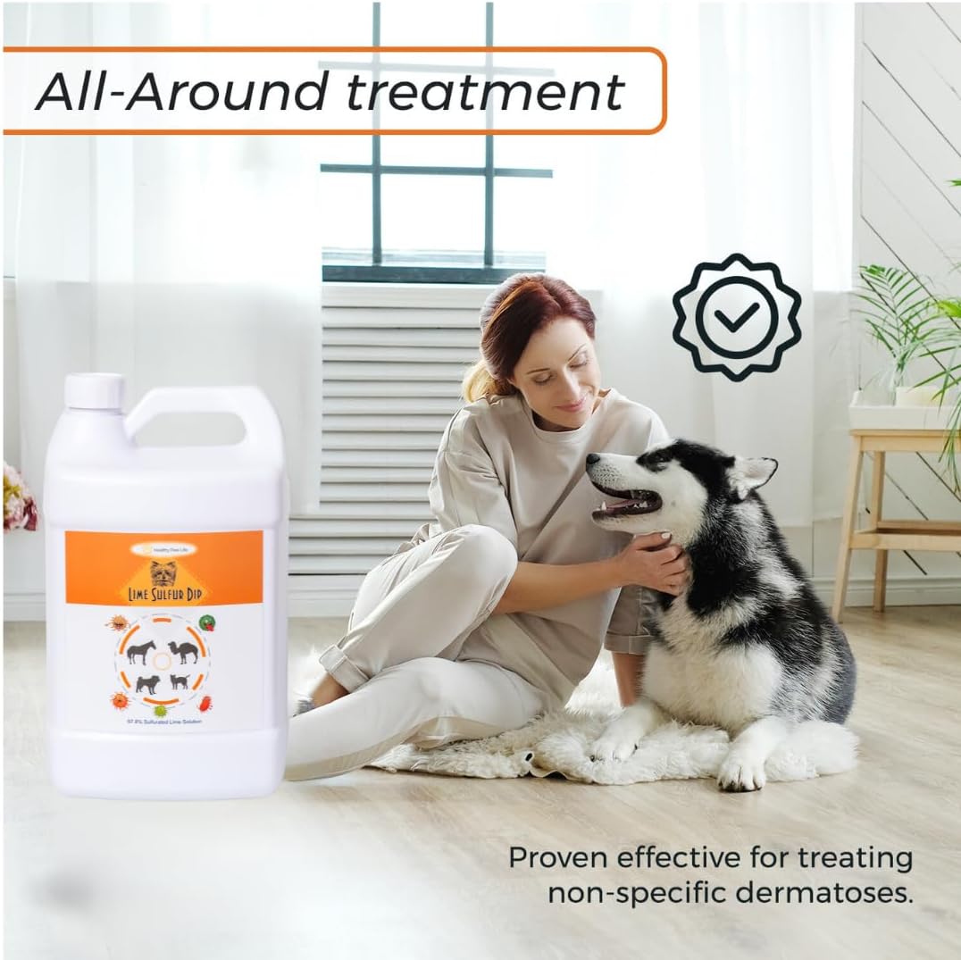 Lime Sulfur Dip and Antiparasitic & Antiseborrheic Sulfur Salicylic Acid Dog Shampoo- 1 Gallon Each - Safe Solution for Itchy Skin, Hot Spots
