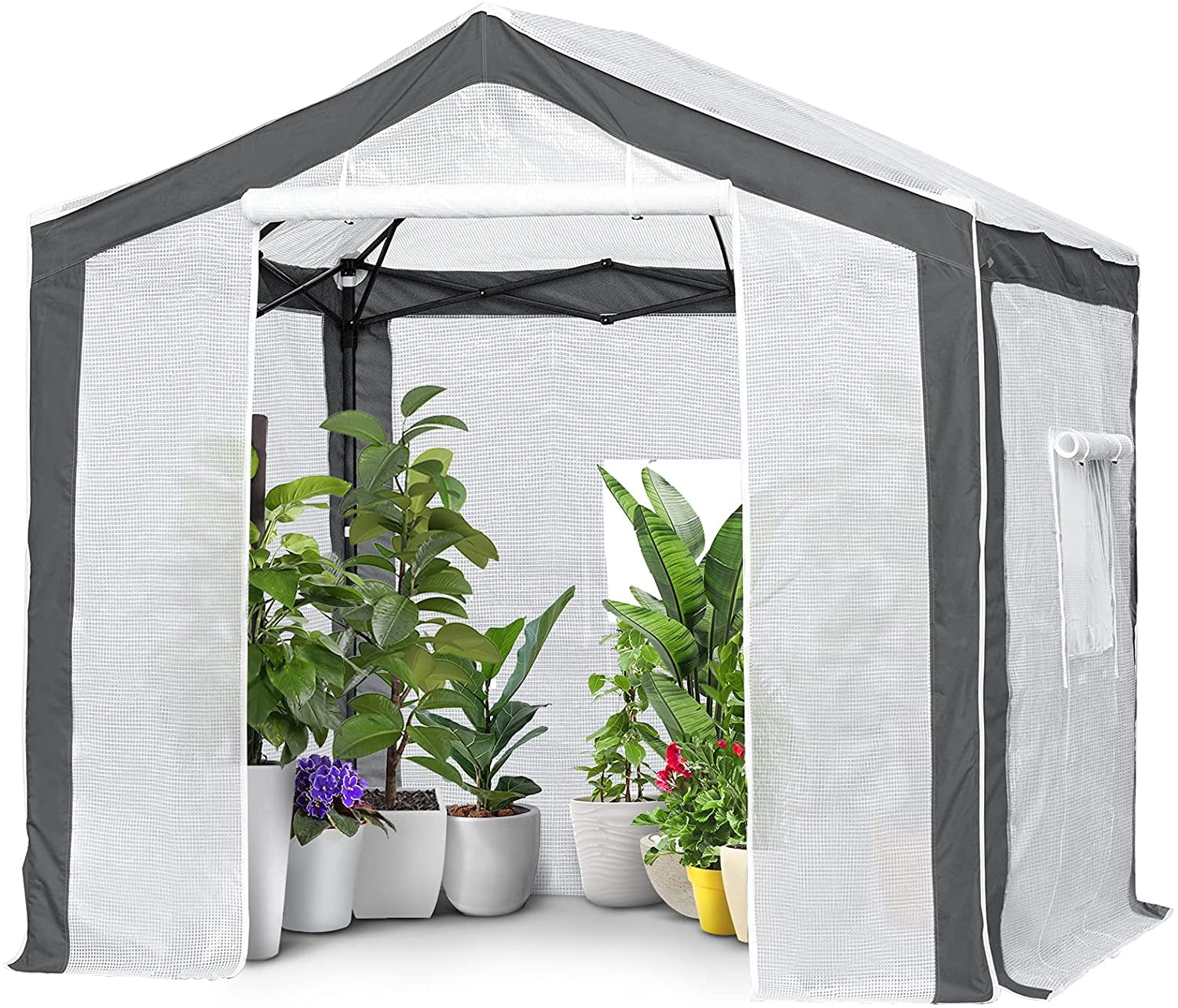 EAGLE PEAK 8 ' x 8 ' Portable Walk-in Greenhouse with Roll-up Zipper Entry Door and 3 Large Roll-Up Screen Windows