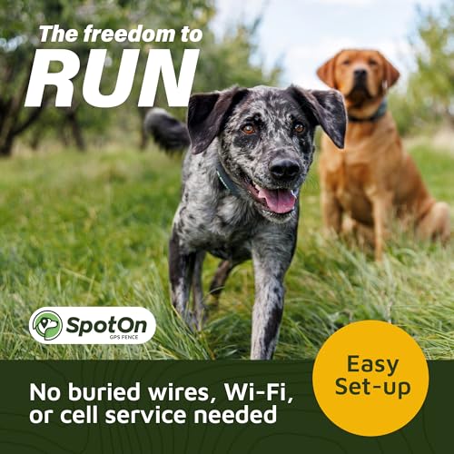 SpotOn Longer Battery Life, GPS Dog Fence, App Based Wireless Dog Fence Collar, Waterproof, Accurate & Reliable GPS Dog Fence System