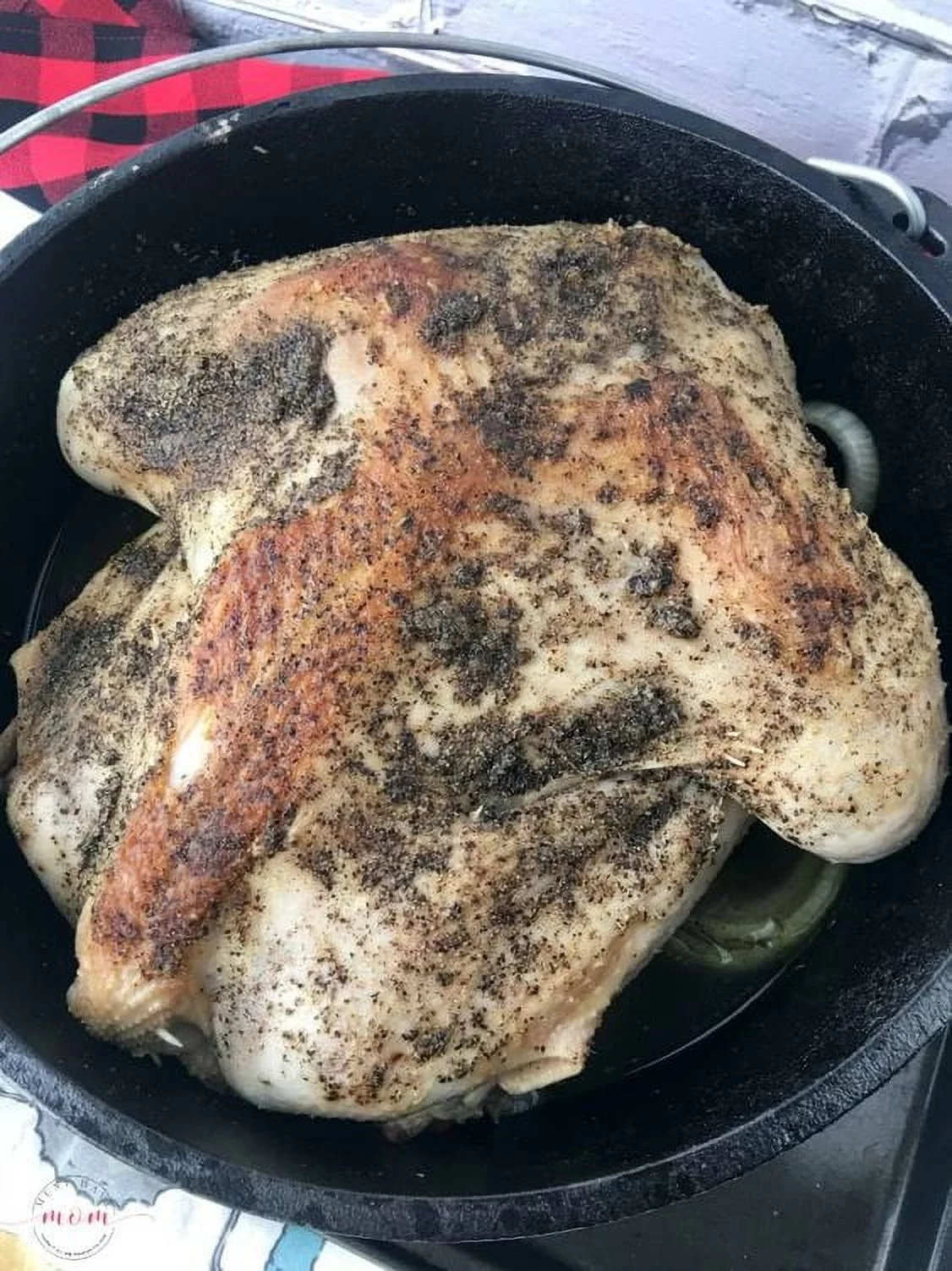 Lodge Cast Iron 5 Quart Seasoned Dutch Oven with Bail Handle