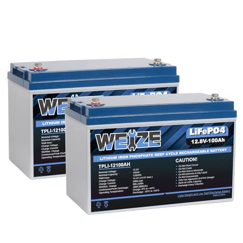 Weize 12V 100Ah TM Bluetooth LiFePO4 Lithium Battery, Built-in 120A BMS