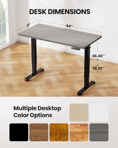ErGear Height Adjustable Electric Standing Desk, 48 x 24 Inches Sit Stand up Desk, Memory Computer Home Office Desk with Two-Piece Desktop (Walnut)