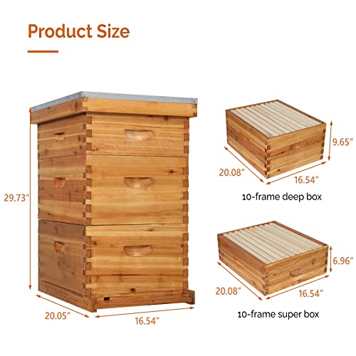 VINGLI 10-Frame Bee Hive, Wax Coated Beehive Starter Kit with Frames & Beeswax Coated Foundation Sheets (3 Layer)