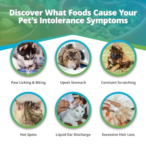 5Strands Pet Food Intolerance Test, at Home Sensitivity Test for Dogs & Cats, 272 Items, Hair Analysis, Accurate for All Ages and Breed