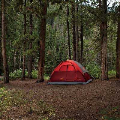Coleman Flatwoods II - Sports Supplies Online Store
