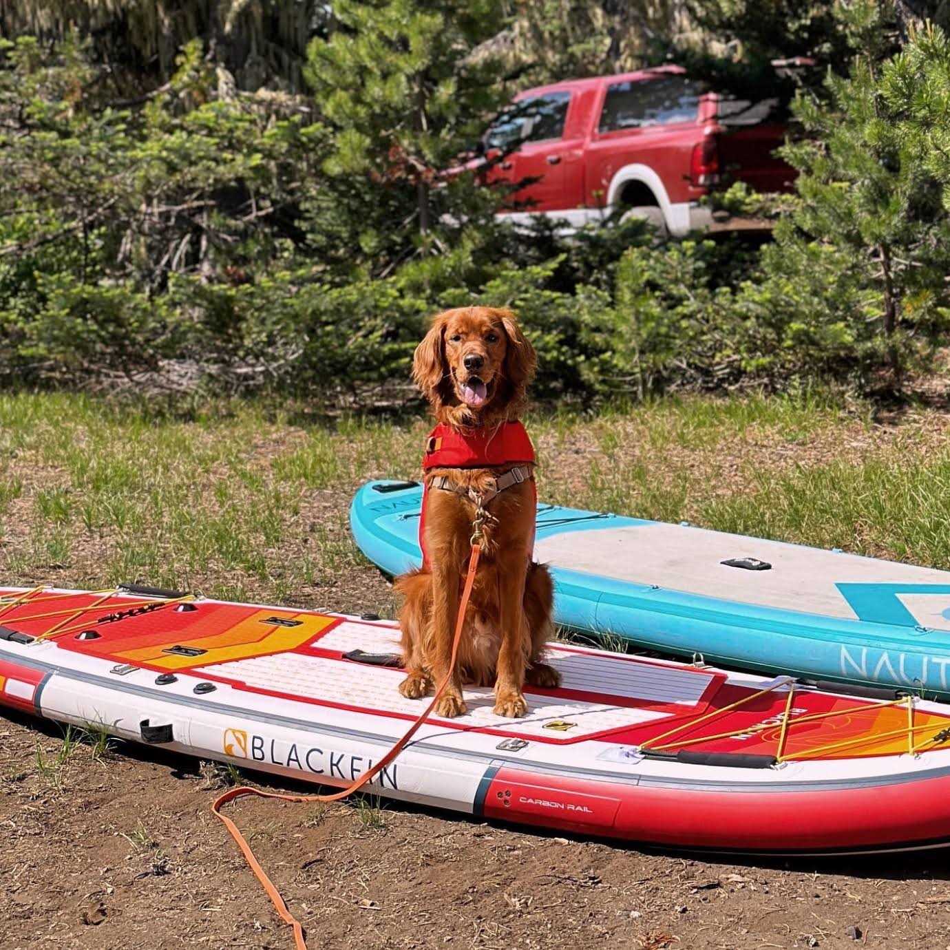 iROCKER Blackfin Model Inflatable Paddle Board - Sports Supplies Online Store
