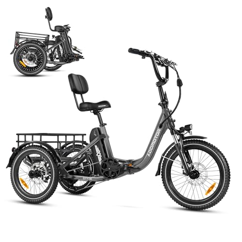 ADDMOTOR CITYTRI E-310 Electric Trike for Adults, 750W, Folding Electric Tricycle, 48V 20Ah, 90MI, 380lbs, 3 Wheel Electric Bikes