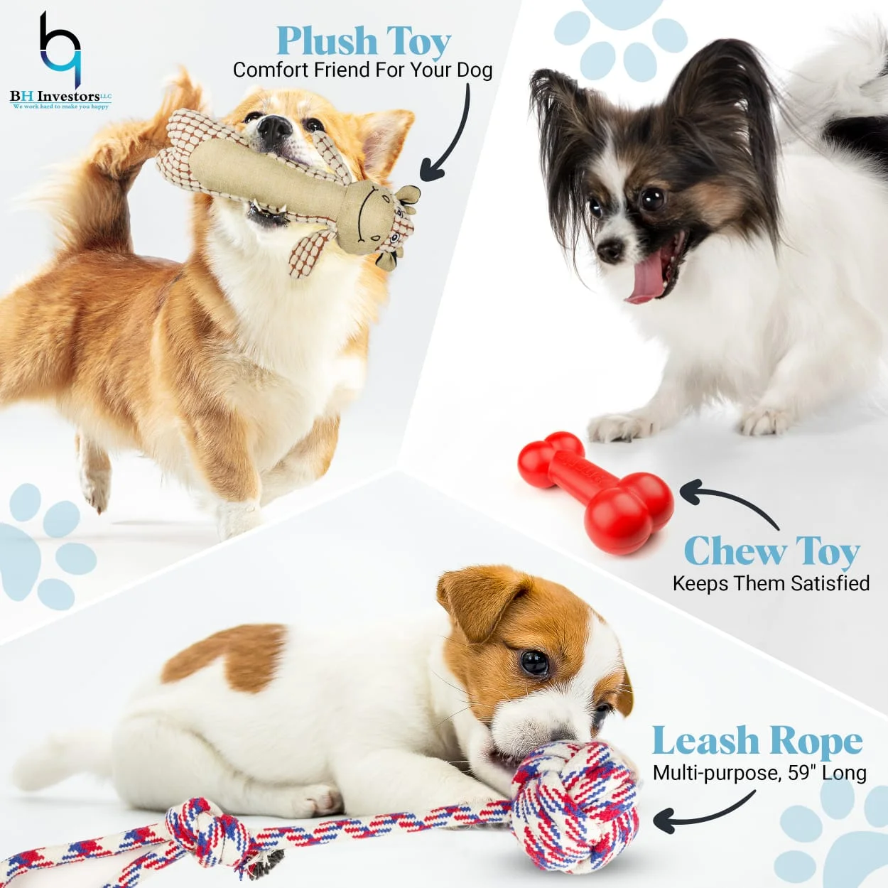 New Puppy Starter Kit