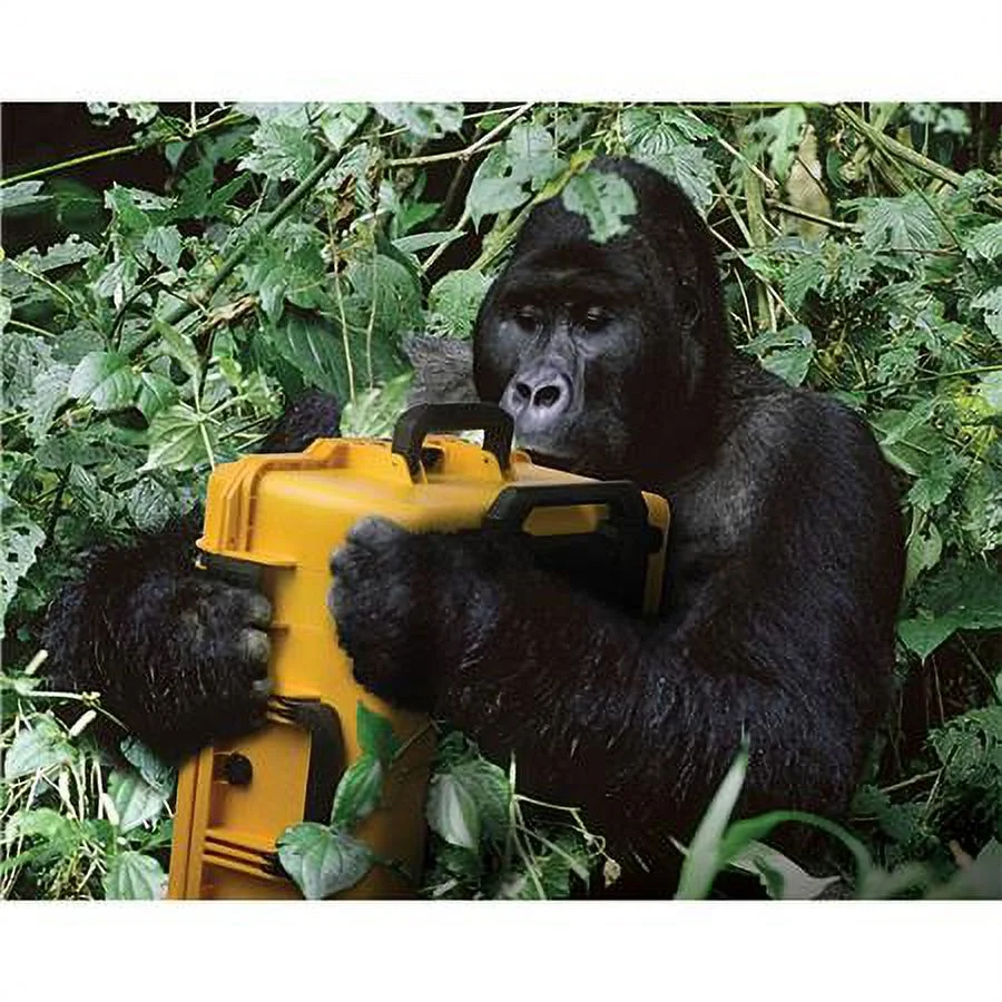 iM2720 Case with Wheels, Watertight, Padlockable Case, No Foam or Divider Interior, Yellow