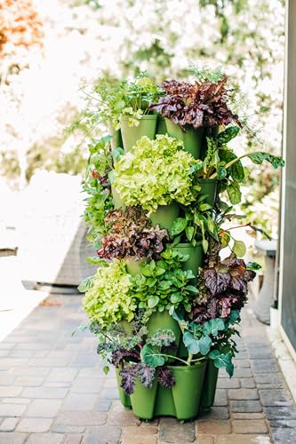 Greenstalk Patented Large 5 Tier Vertical Garden Planter with Patented Internal Watering System Great for Growing a Variety of Strawberries