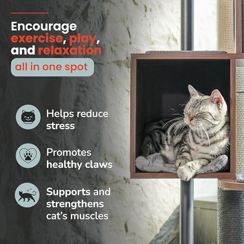 Modern Cat Tree-Sleek Wooden Furniture-Style Tower(60") Blends with Home Decor, Tallest Scratching Post(48")