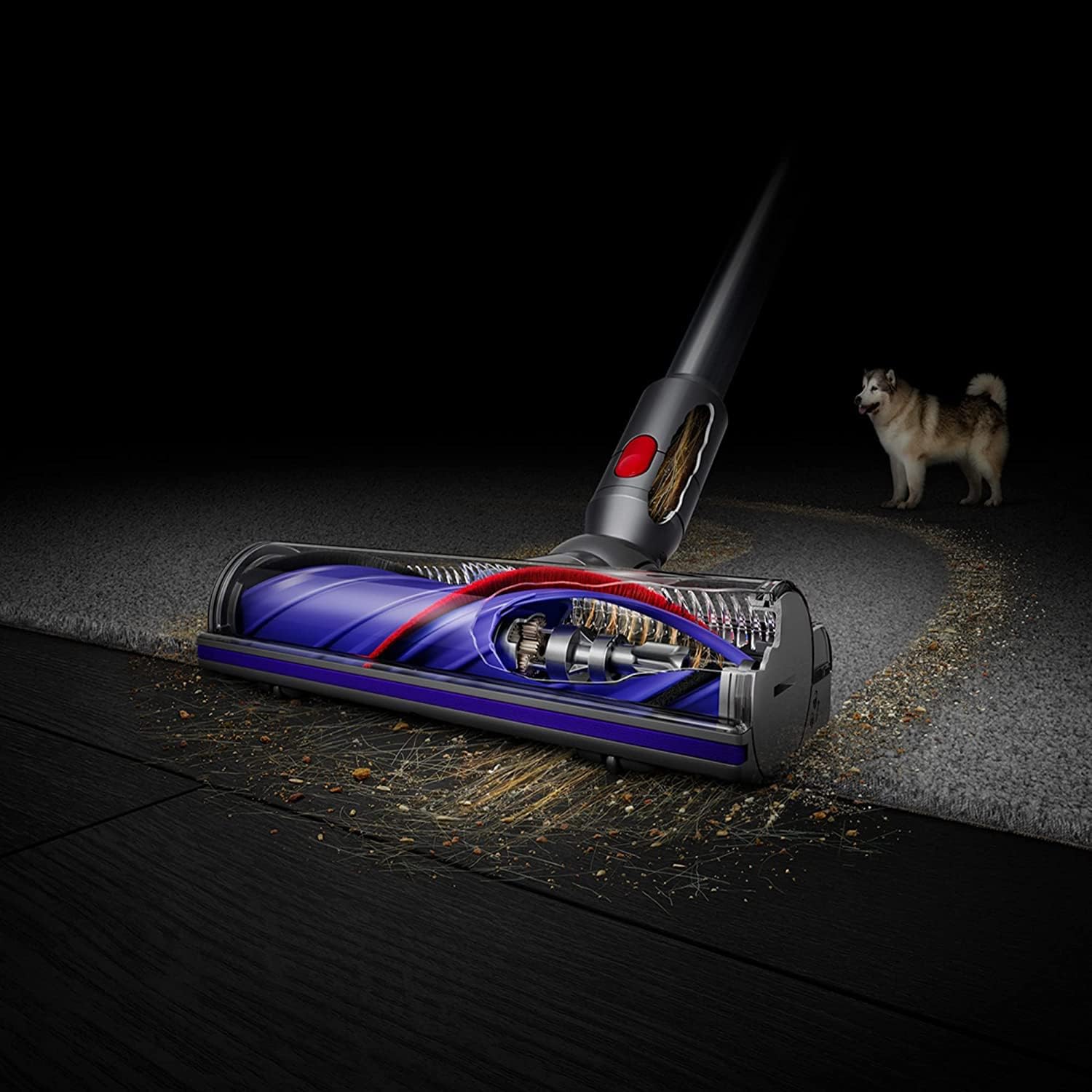 Dyson V12 Detect Slim+ Cordless Vacuum Cleaner - Radiant Selections