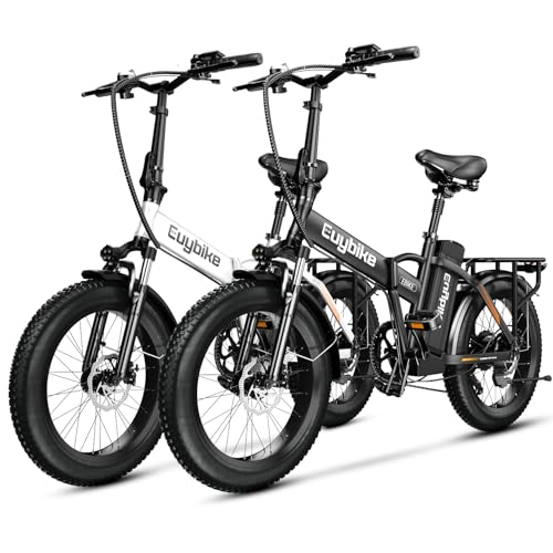 1000W Folding Electric Bike, 48V 20AH Large Removable Battery E Bike, 30+MPH, 80 Miles Max Range, 20" Fat Tire Electric Bike for Adults