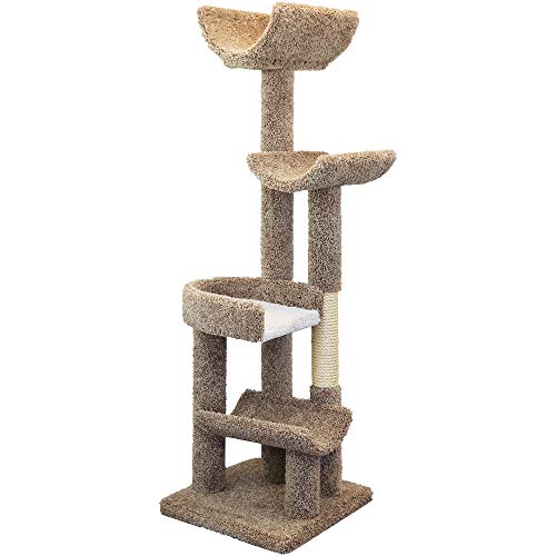 New Cat Condos 190121-Brown Cat Climbing Tree