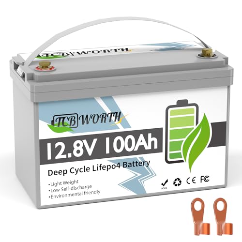 12V 100Ah LiFePO4 Battery, Rechargeabel Deep Cycle Lithium Batteries, 100A BMS with Low-Temp Protection, Perfect for RV, Solar, Boat, Marine