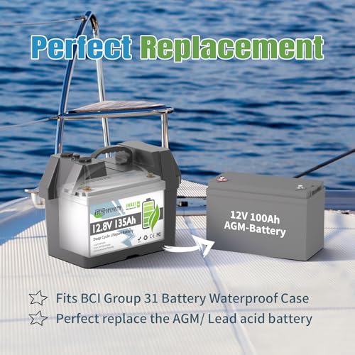 12V 100Ah LiFePO4 Battery, Rechargeabel Deep Cycle Lithium Batteries, 100A BMS with Low-Temp Protection, Perfect for RV, Solar, Boat, Marine