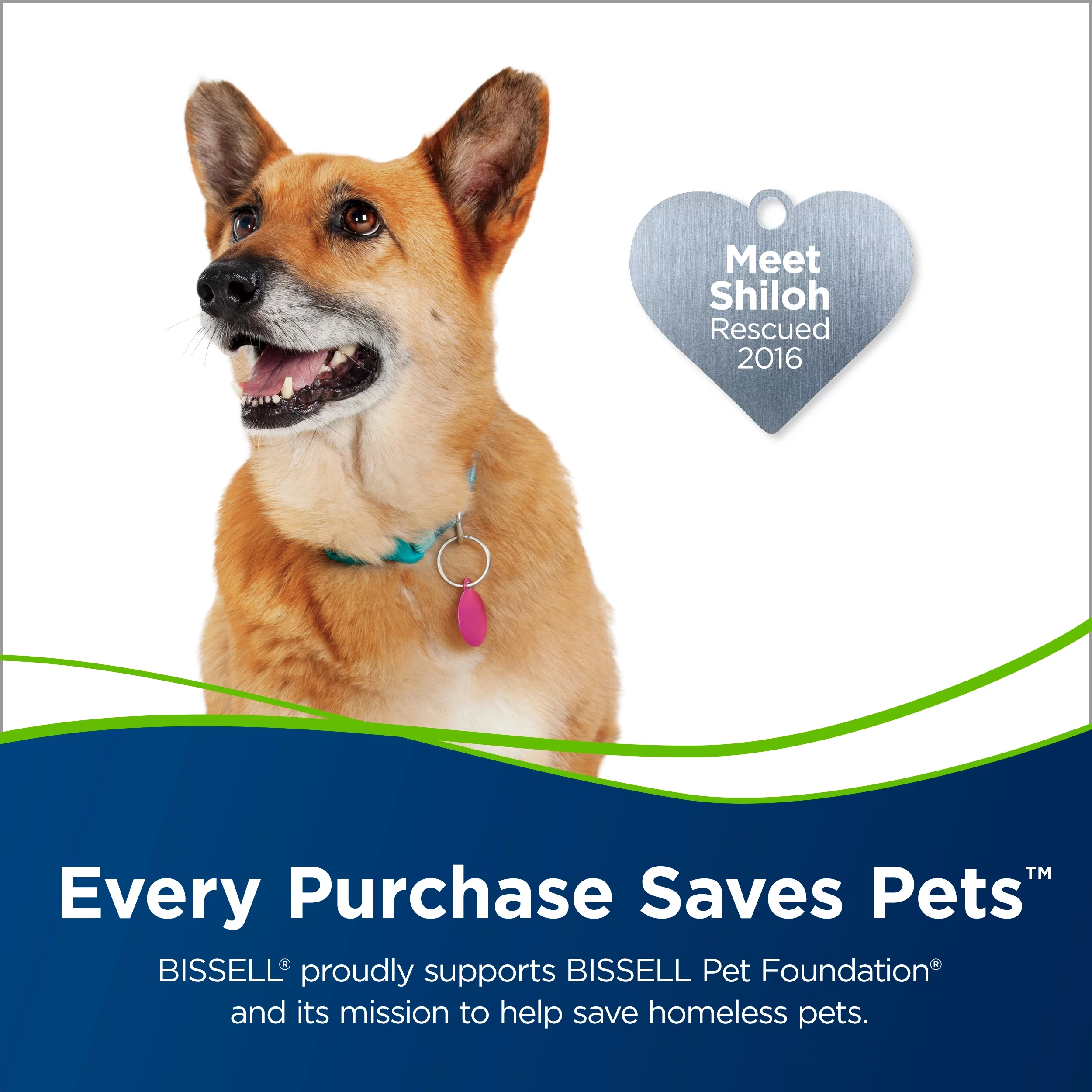 BISSELL Pet Hair Eraser Slim Corded Vacuum Cleaner 2897