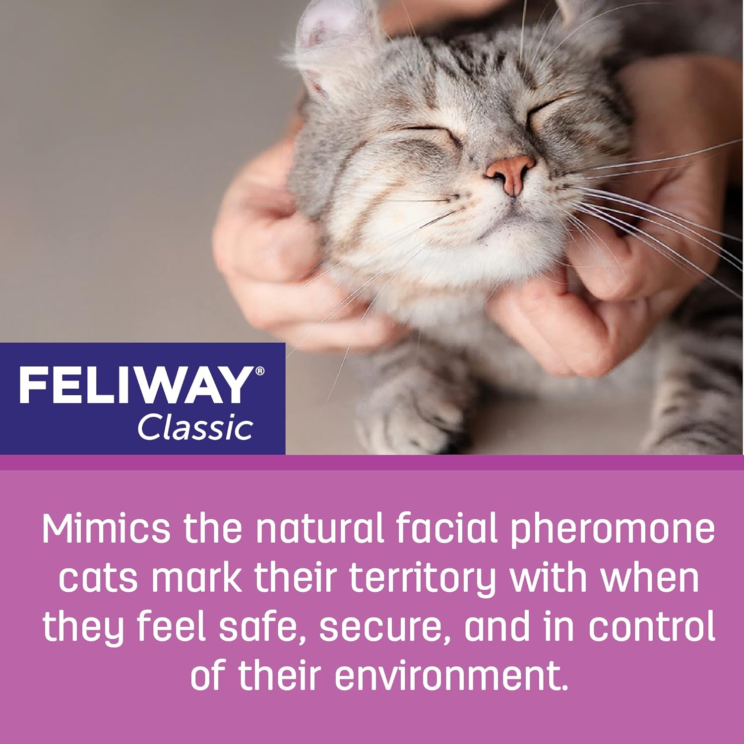 Feliway Plug-In Diffuser Refill, 48 mL, 3-Pack, Model:3PK Pack of 2