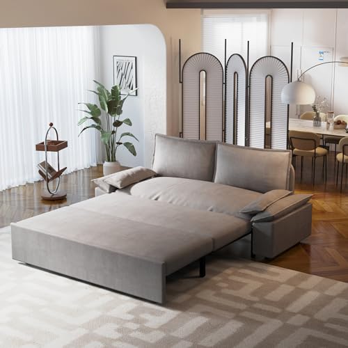 3 in 1 Convertible Queen Sleeper Sofa Bed Comfy Pull Out Futon Couch Bed 63.8" Modern Velvet Recliner Loveseat Sofa Multi-Functional Black Cloud