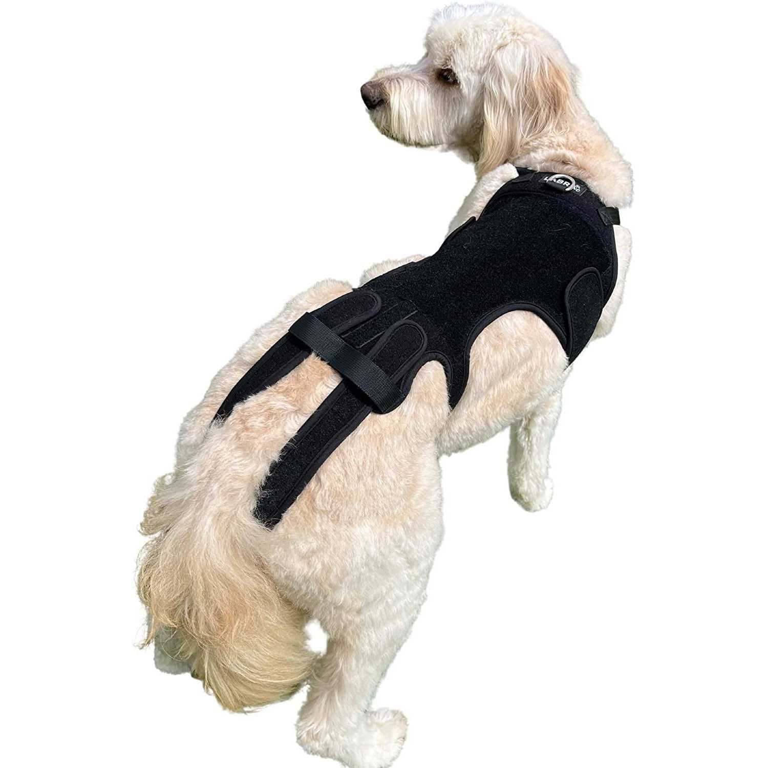 Labra Dog Canine K9 Back Brace IVDD Spine Pain &amp; Spinal Injury - Pet Supplies online store