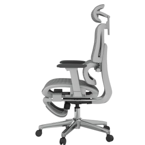 FLEXISPOT ErgoX Premium Ergonomic Office Chair with Footrest- Adjustable 3D Armrests, Dynamic Lumbar Support, Recline & Tilt Function, Mesh Seat