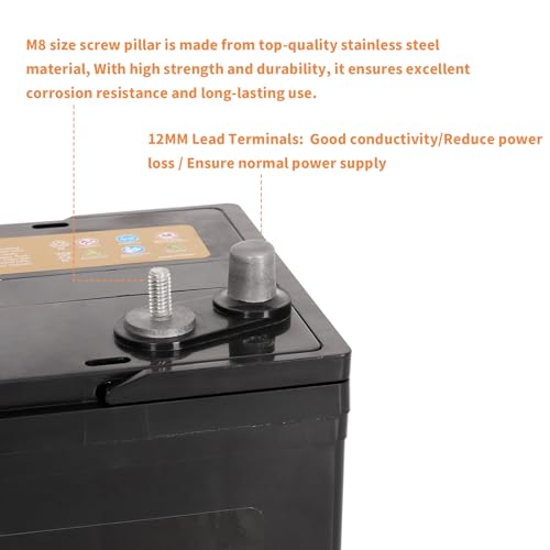 Weize BCI Group 31M Dual Purpose AGM Battery, 200RC 825CCA 12V 105AH Starter & Deep Cycle Sealed Marine & RV Battery