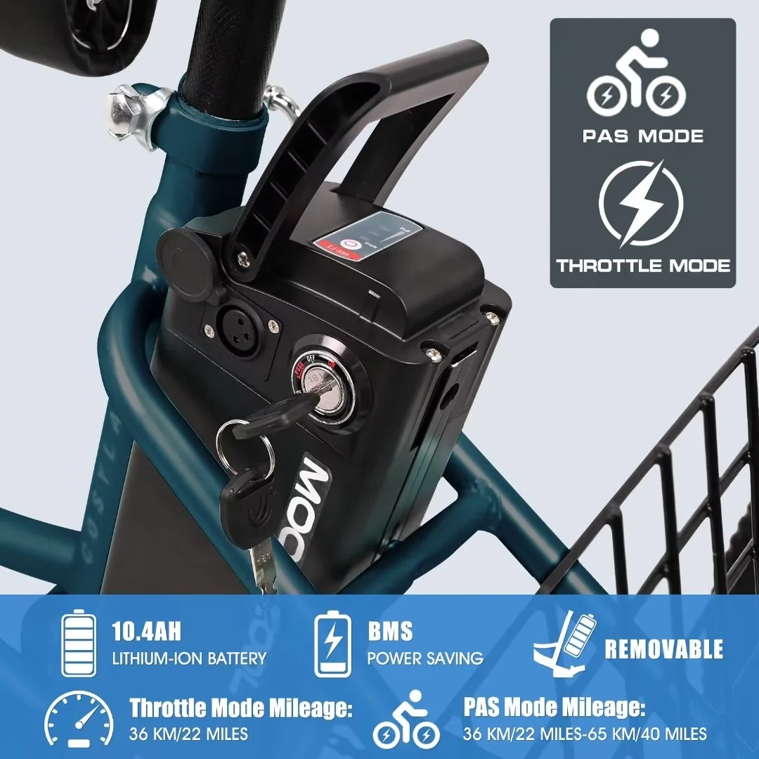 NAIZEA 24 3 Wheel Electric Bike for Senior, 350w Adults Electric Trike, Three Wheel Ebike Bicycle with Removable 36V 10Ah Lithium Battery