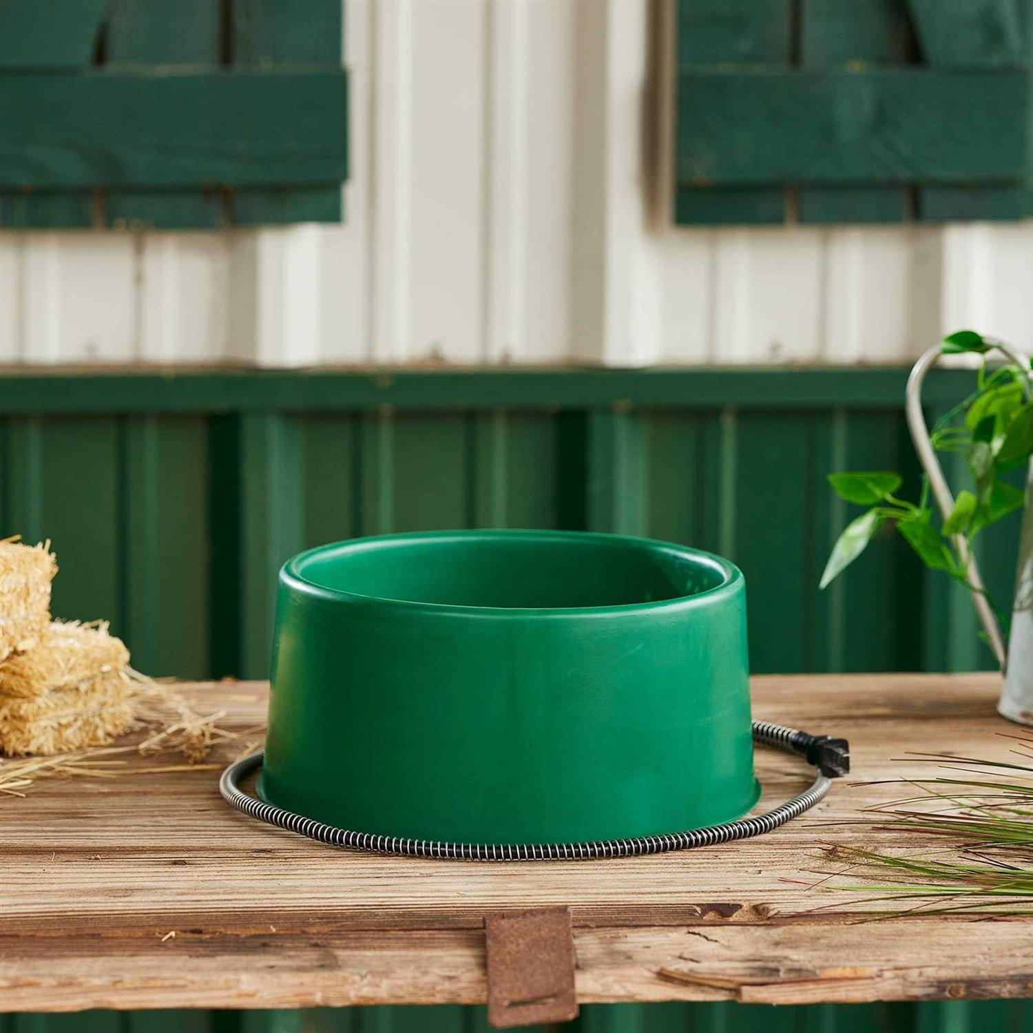 Farm Innovators Heated Pet Bowl