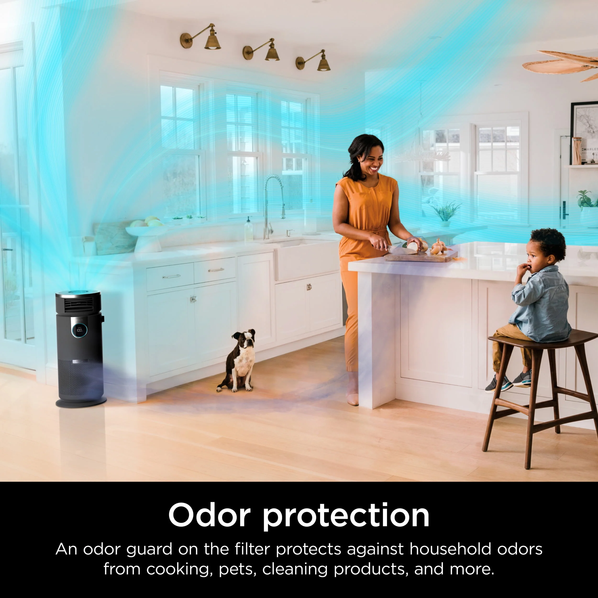 Shark Air Purifier with Nanoseal HEPA, Cleansense IQ, Odor Lock, Cleans up to 500 Sq. Ft, Charcoal Grey, HP100
