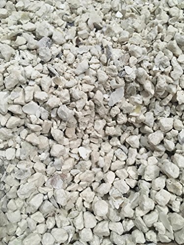 Natural Crushed Oyster Shell with Calcium (2 lb)