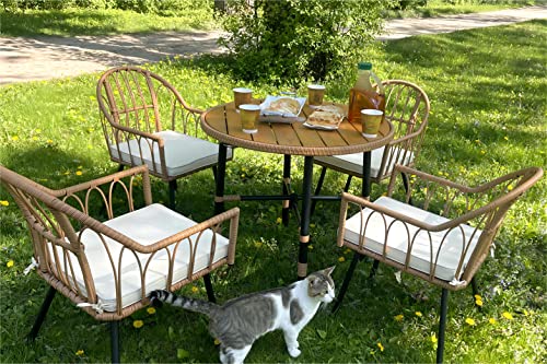YITAHOME 5 Pieces Outdoor Patio Dining Table Chair Set,Wicker Patio Dining Set,Outdoor Rattan Dining Table Set for Patio, Backyard, Balcony