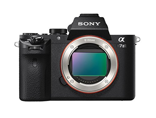 Sony Alpha a7II Mirrorless Digital Camera with 28-70mm f/3.5-5.6 Lens