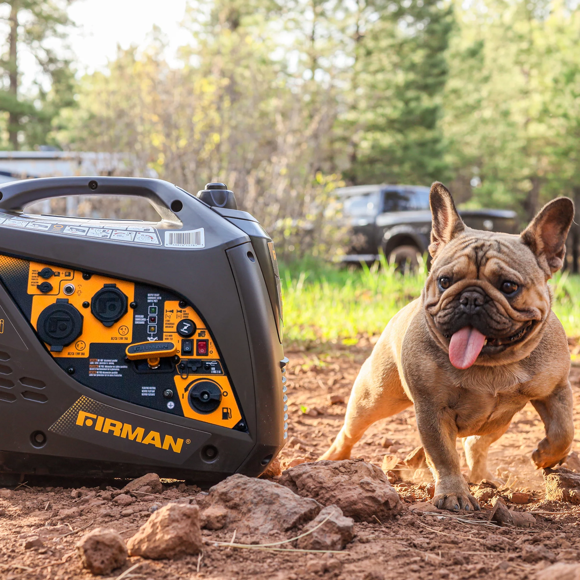 FIRMAN W01682 1600/2000 Watt Peak Gasoline Powered Inverter Generator - Radiant Selections