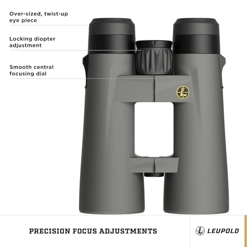 Leupold BX-4 Pro Guide HD Binoculars, 10x42mm Gen 2 (184761)