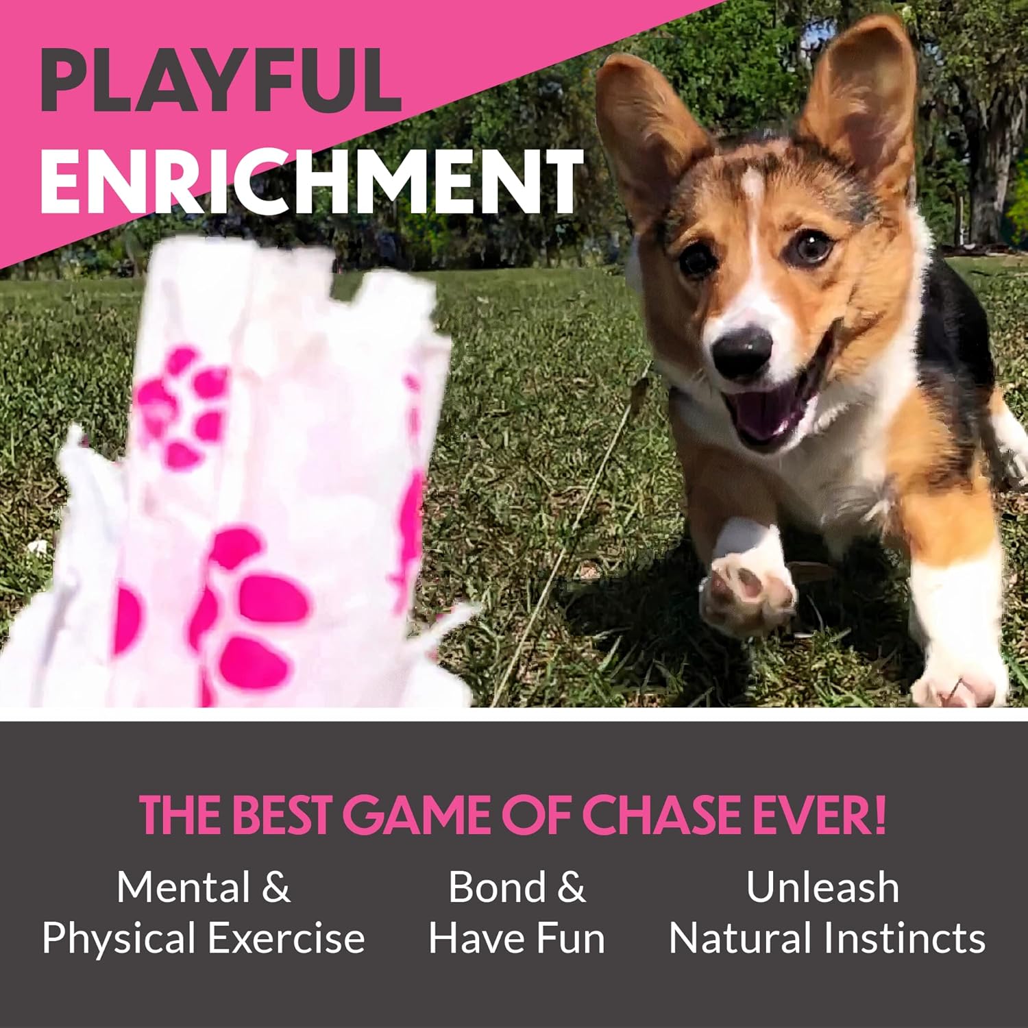 Swift Paws Home Remote-Control Capture-The-Flag Toy for Dogs, Fun Lure Course for Exercise