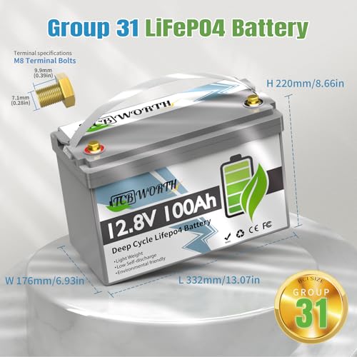 12V 100Ah LiFePO4 Battery, Rechargeabel Deep Cycle Lithium Batteries, 100A BMS with Low-Temp Protection, Perfect for RV, Solar, Boat, Marine