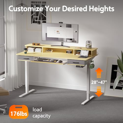 48x24 Inches Electric Standing Desk with 2 Drawers, Height Adjustable Stand up Desk for Home Office, Ergonomic Sit to Stand Table with Storage Shelf
