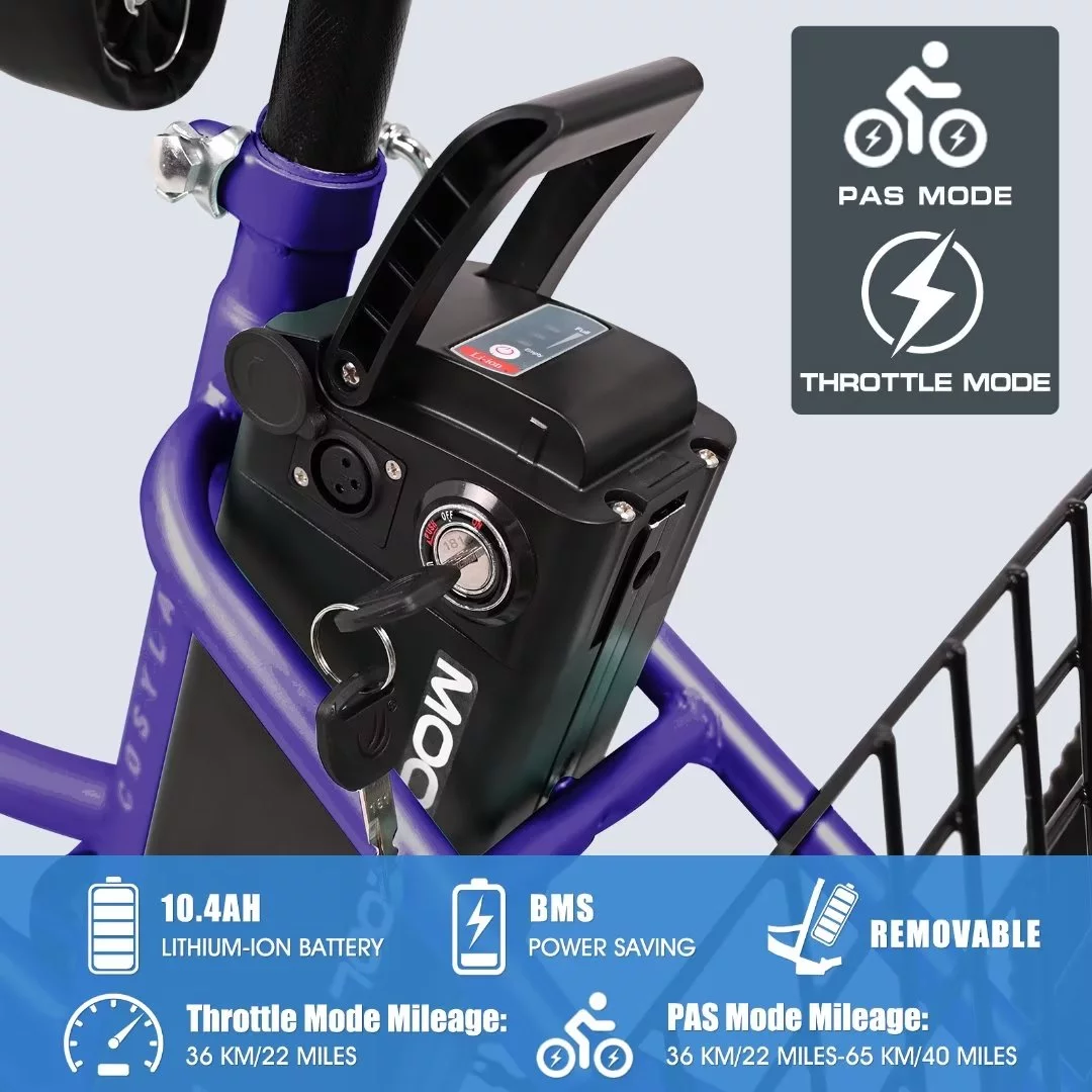NAIZEA 24 3 Wheel Electric Bike for Senior, 350w Adults Electric Trike, Three Wheel Ebike Bicycle with Removable 36V 10Ah Lithium Battery