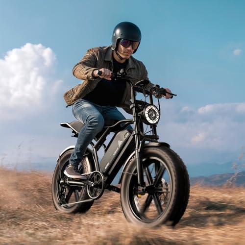 TST Electric Bike for Adults