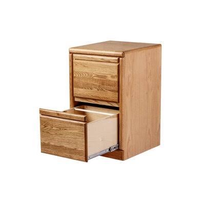 Braunstein 2-Drawer Vertical Filing Cabinet Loon Peak Color: Golden Oak