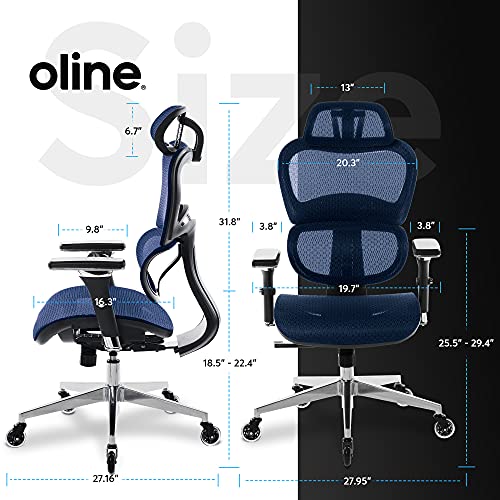 Oline ErgoPro Ergonomic Office Chair, Rolling Desk Chair with 4D Adjustable Armrest, 3D Lumbar Support, Blade Wheels