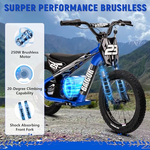 wanan Electric Dirt Bike for Kids 6-12 with Shock-Absorbing Front Fork, 250W Electric Motorcycle Up to 15.5MPH, 24V Detachable Battery, 16''