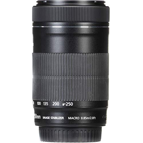 Canon 55-250mm STM
