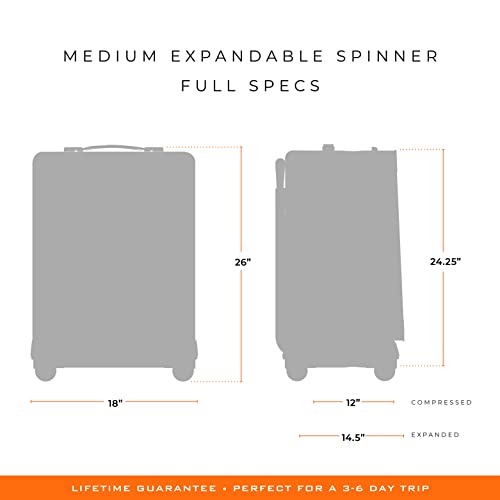 Briggs & Riley Baseline Spinners, Black, 16-inch Underseat Cabin Bag