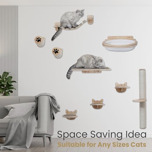 Cat Wall Shelves & Furniture Set (9 Pieces)-Durable Rubber Wood & Non-Slip Carpet, Includes Washable Hammock, Shelf, Climbing Scratcher, Ladder