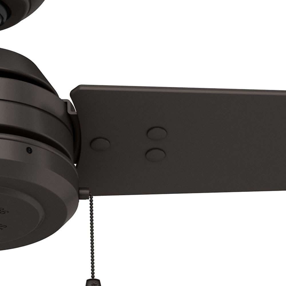 Hunter Cassius Indoor / Outdoor Ceiling Fan with Pull Chain Control, 52, Premier Bronze